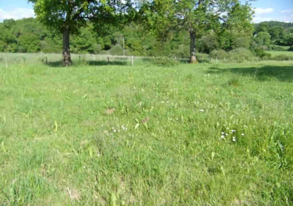 Photo of Outdoor in Sauvagnat