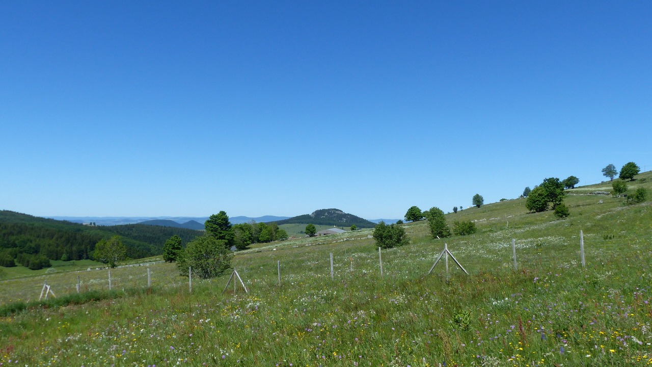 Photo of Outdoor in Les Estables
