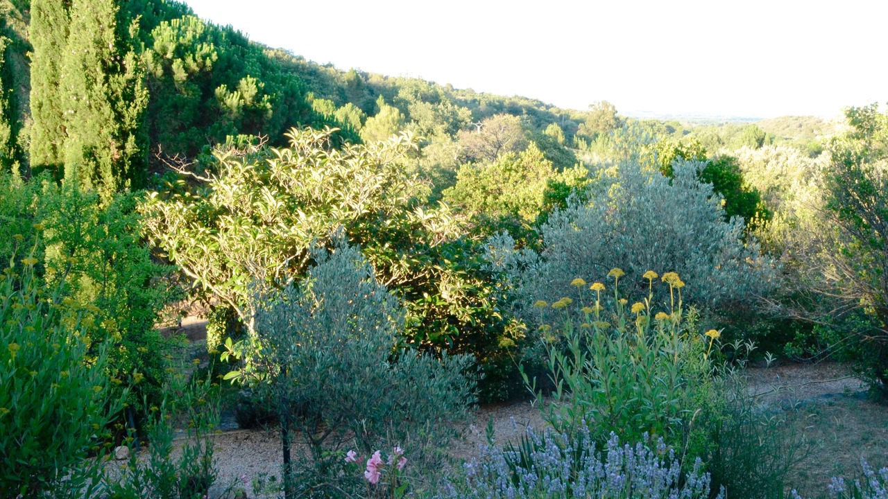 Photo of Outdoor in Camelas