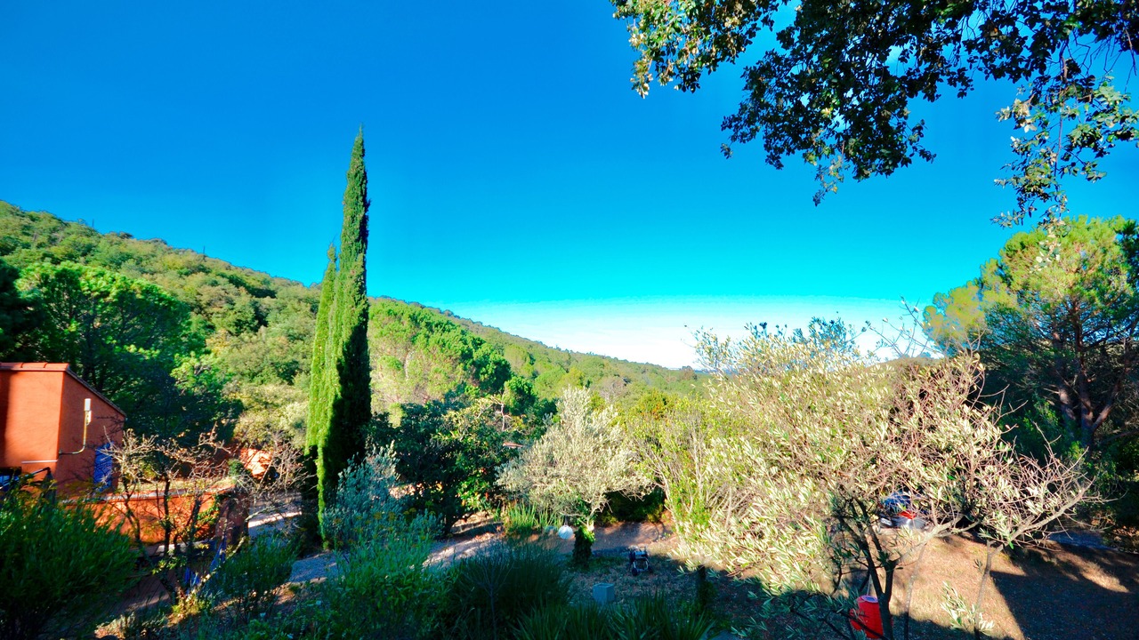 Photo of Outdoor in Camelas