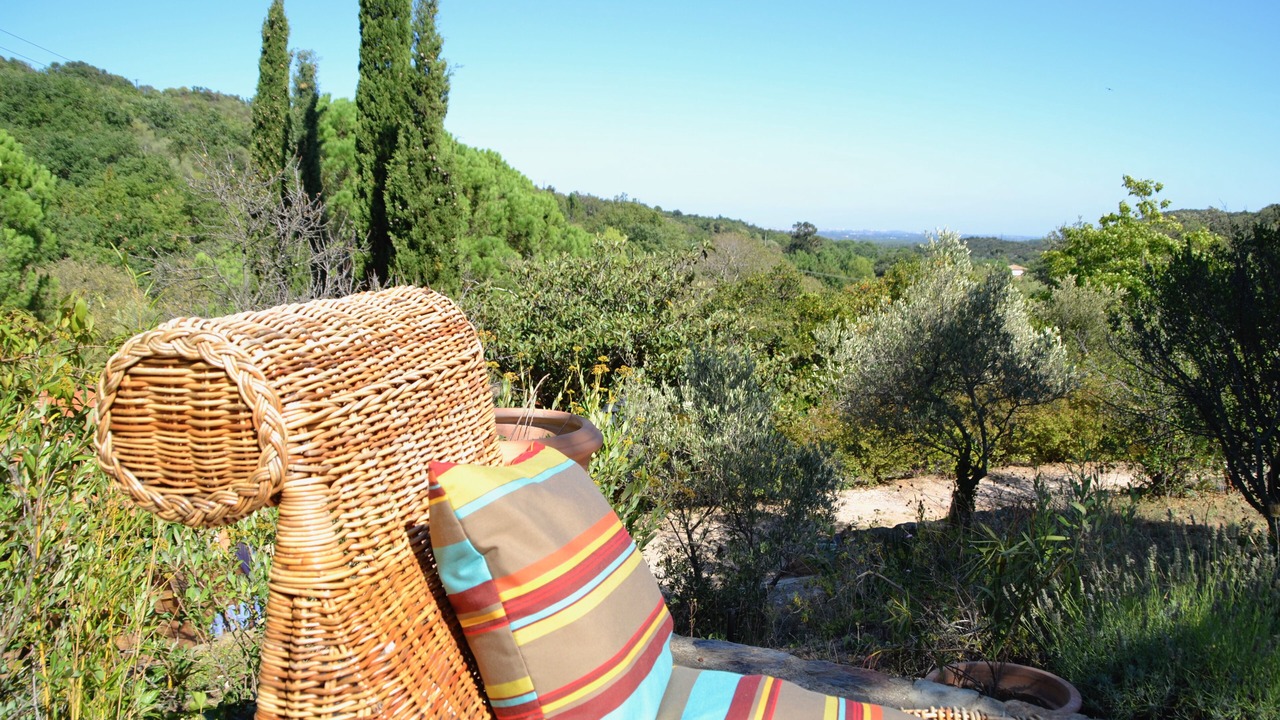 Photo of Outdoor in Camelas