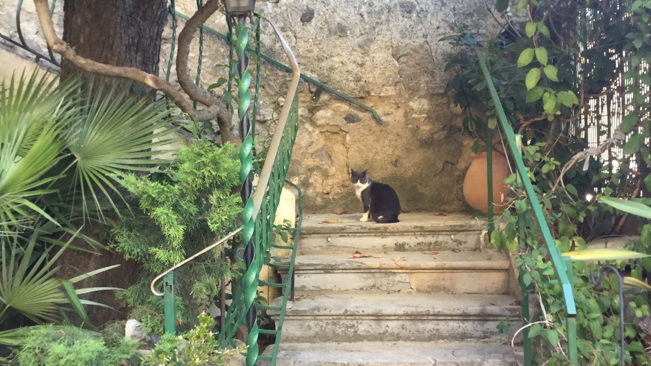 Photo of Outdoor in Puissalicon