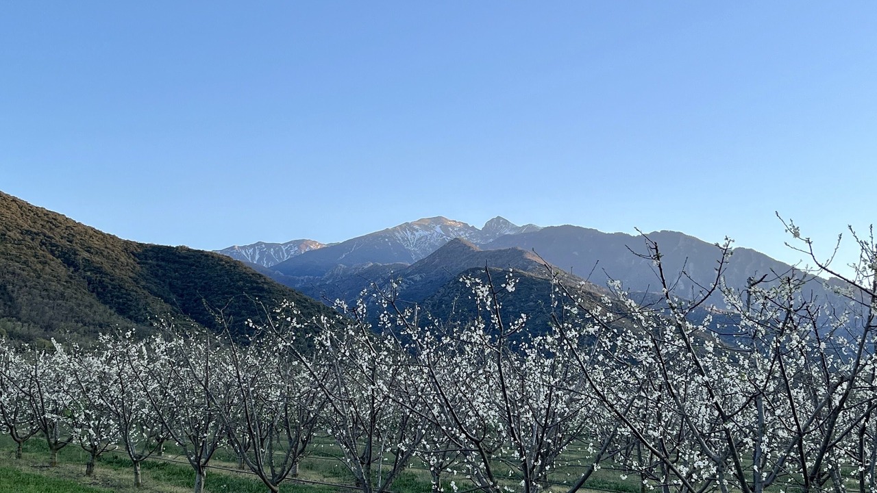 Photo of Others in Joch
