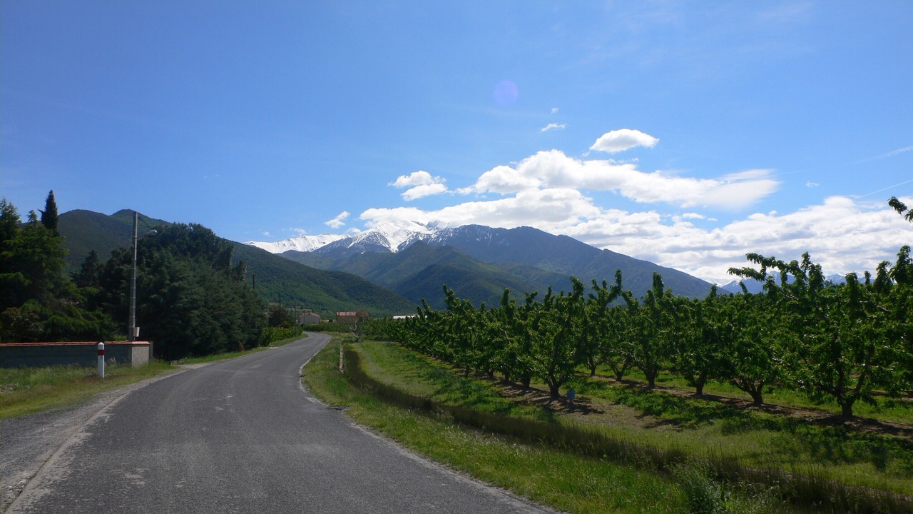 Photo of Others in Joch
