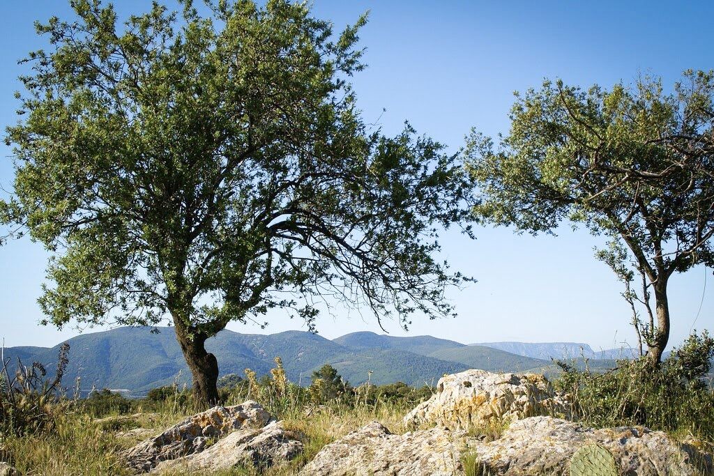 Photo of Outdoor in Saint-Chinian