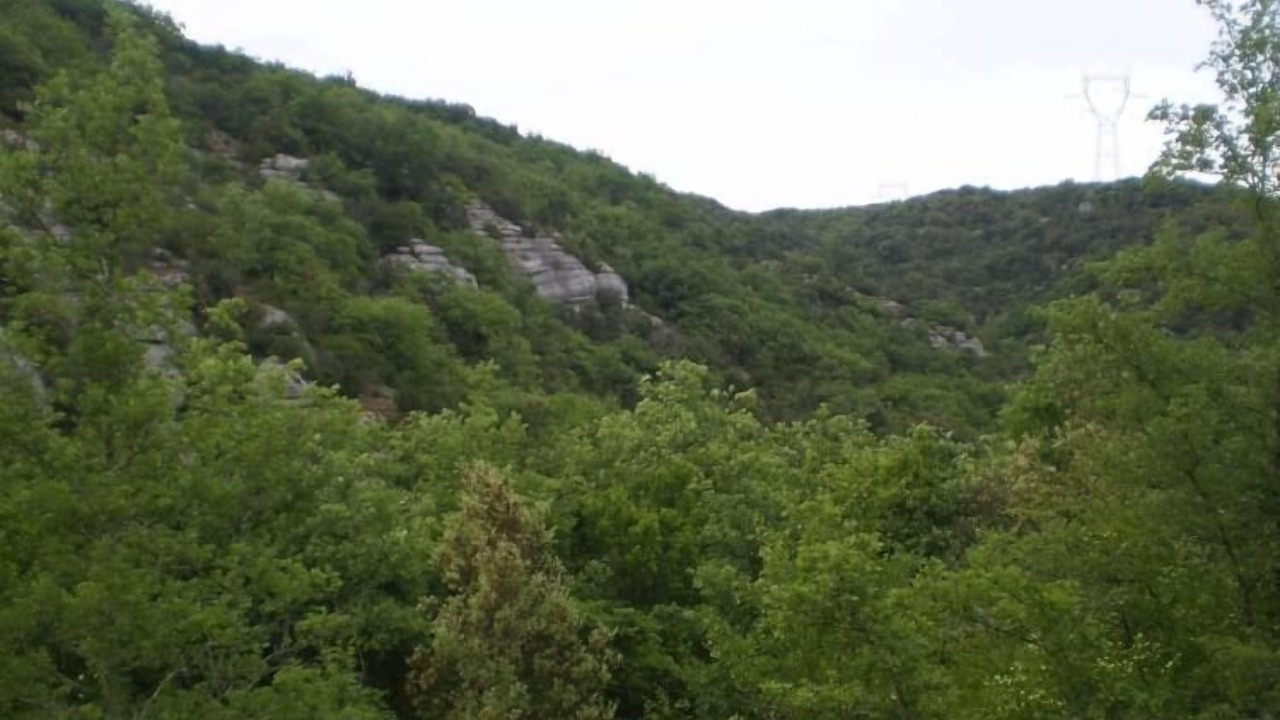 Photo of Outdoor in Saint-Symphorien-sous-Chomerac