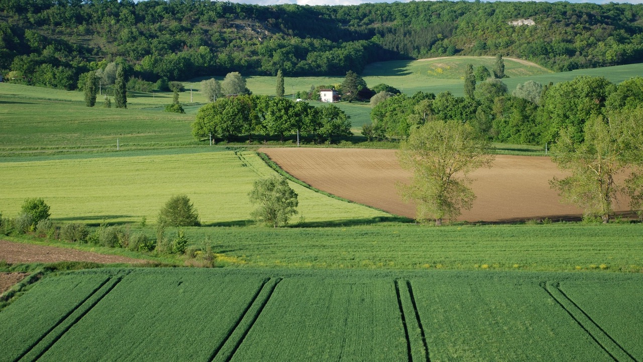 Photo of Others in Tournon-d'Agenais