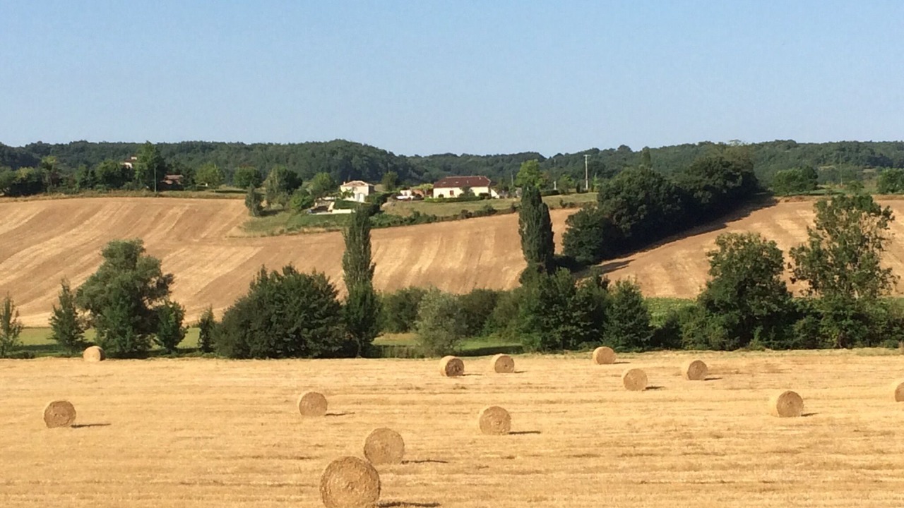 Photo of Others in Tournon-d'Agenais