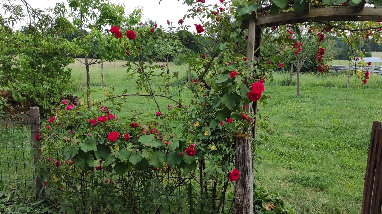 Photo of Outdoor in Saint-Cirgues-la-Loutre