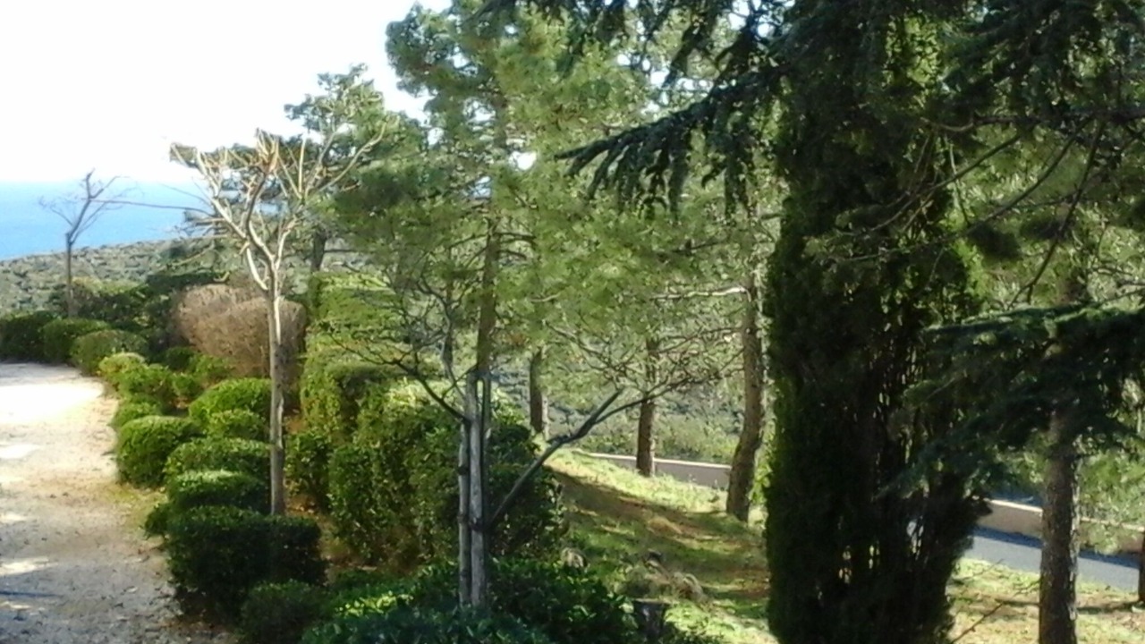 Photo of Outdoor in Banyuls-sur-Mer