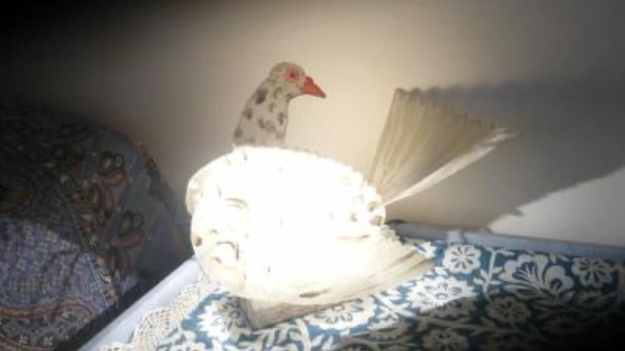 Photo of Others in Malemort-du-Comtat