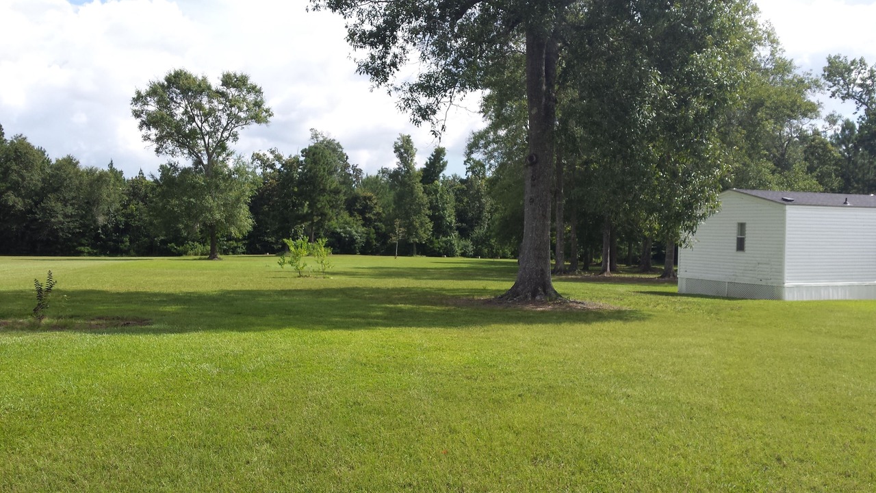 Photo of Outdoor in Silsbee