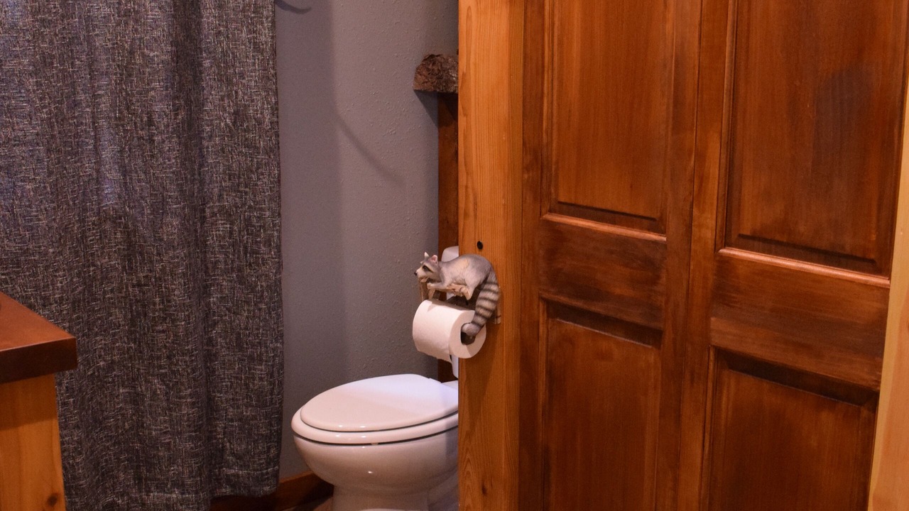 Photo of Bathroom in Seymour