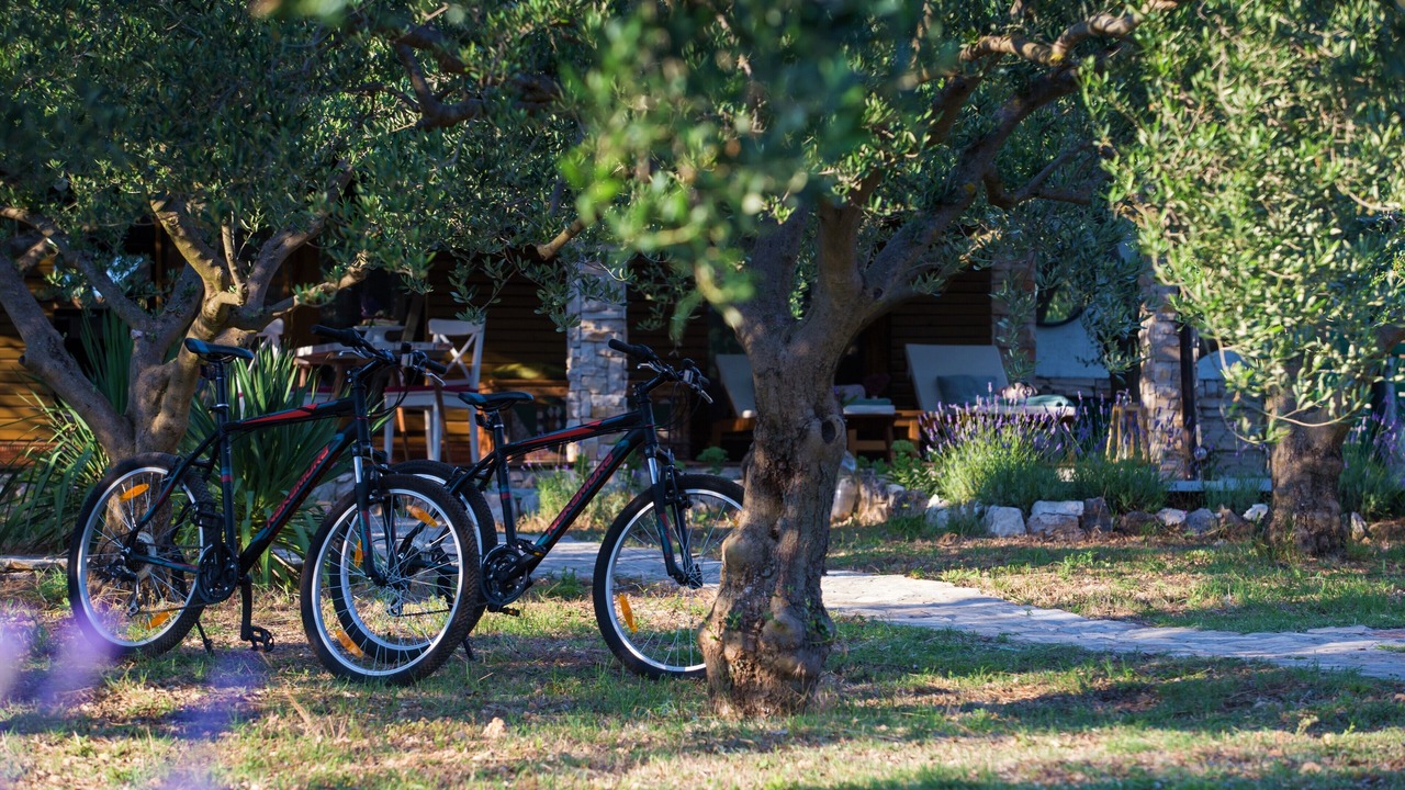 Photo of Outdoor in Sveti Filip i Jakov