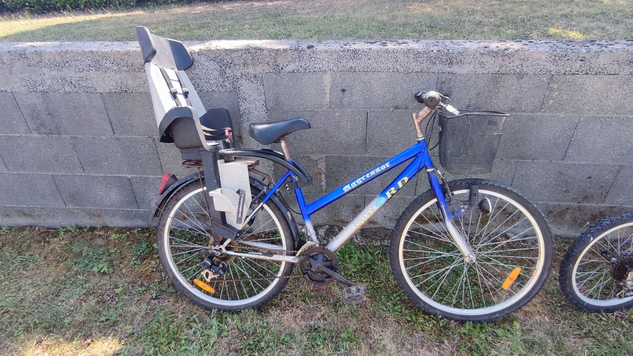 Photo of Outdoor in La Caillere-Saint-Hilaire