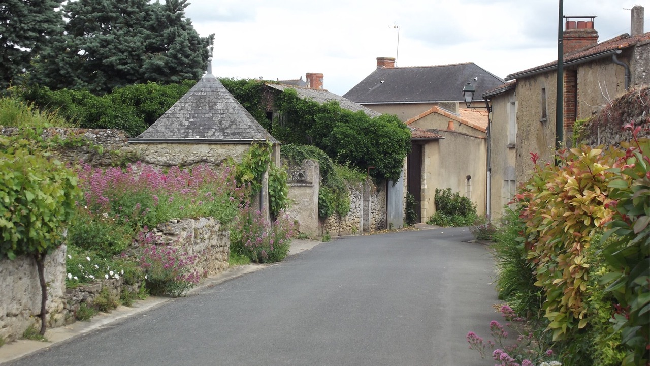 Photo of Others in Faye-d'Anjou