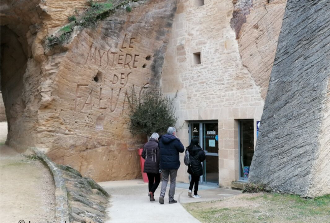 Photo of Others in Faye-d'Anjou