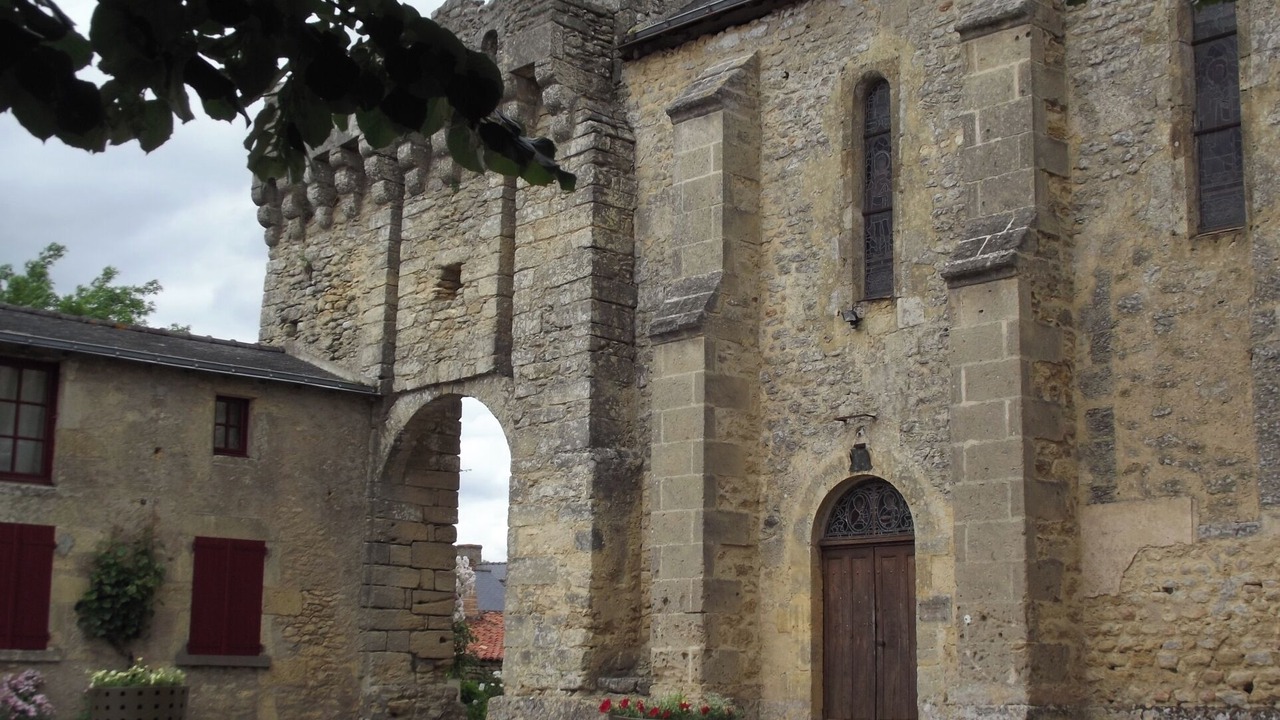 Photo of Others in Faye-d'Anjou