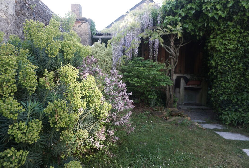 Photo of Outdoor in Faye-d'Anjou