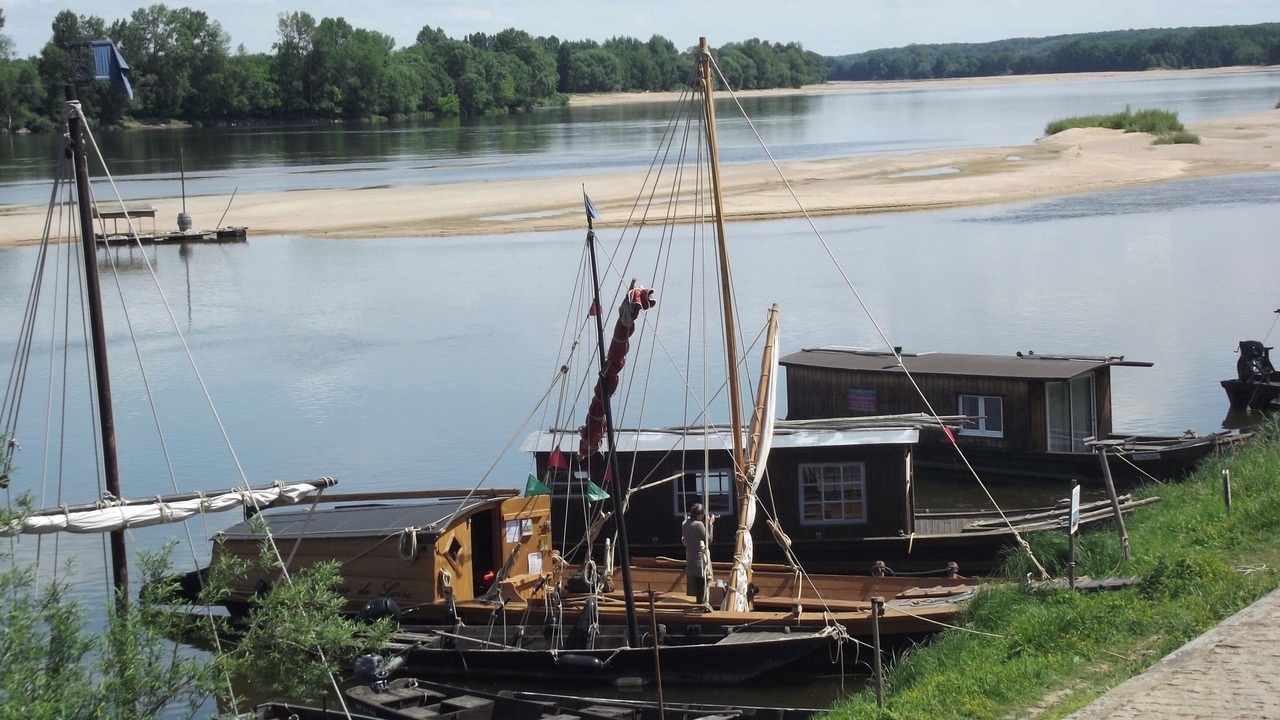 Photo of Others in Faye-d'Anjou