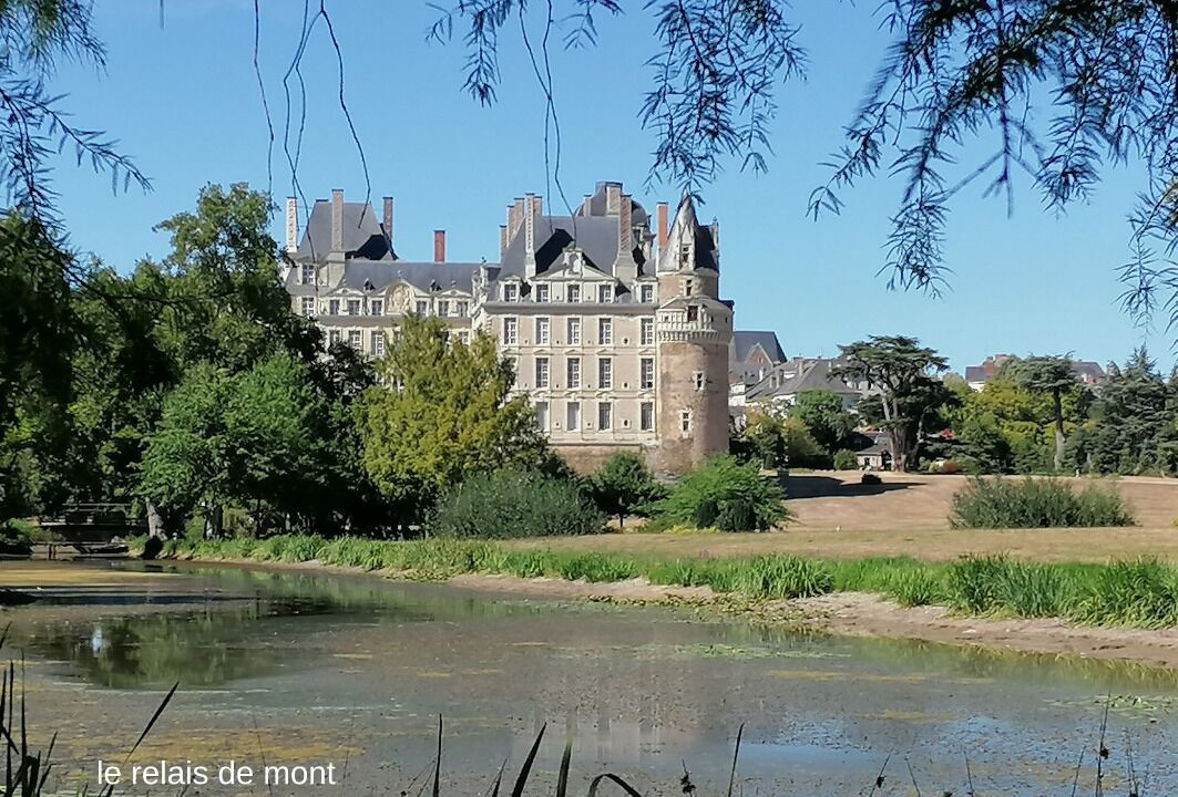Photo of Others in Faye-d'Anjou
