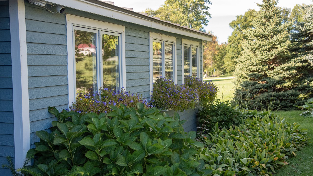 Photo of Outdoor in Grand Isle