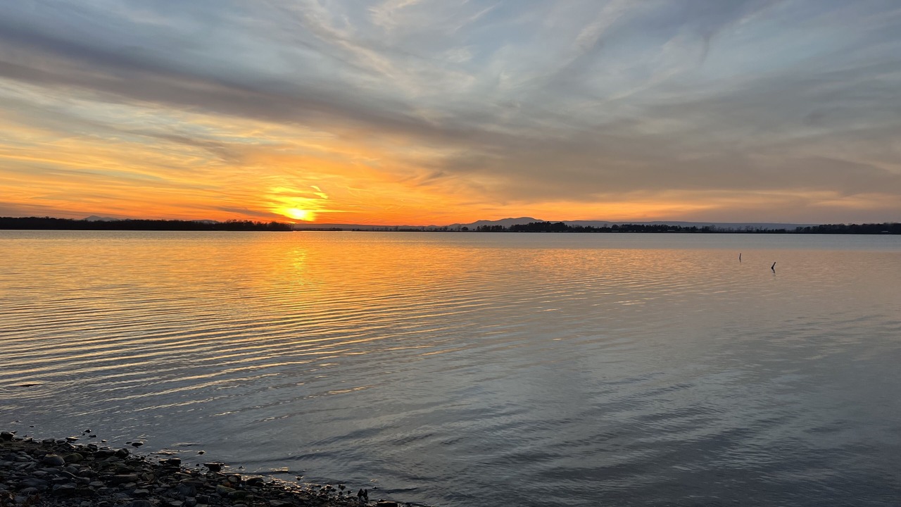 Photo of Others in Grand Isle