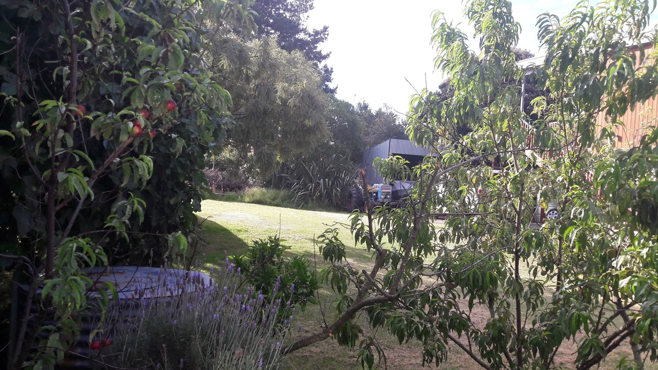 Photo of Others in Riversdale