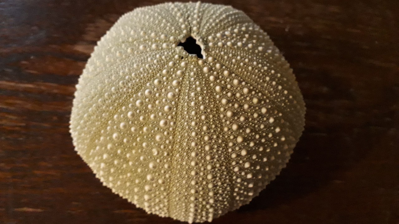 Photo of Others in Riversdale