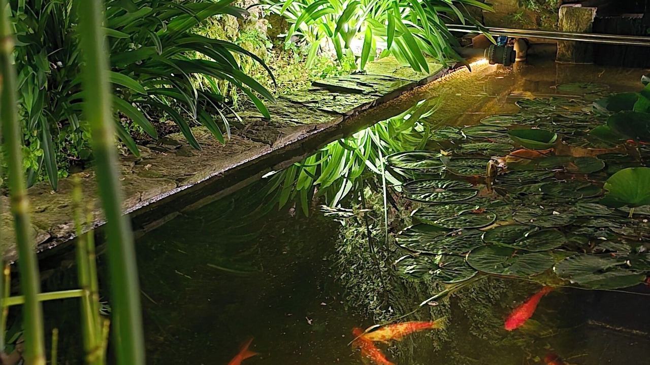 Photo of Outdoor in Planzolles