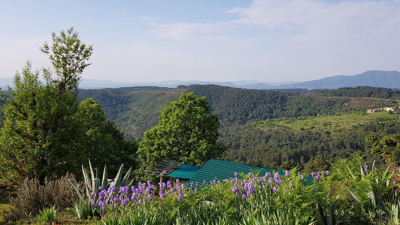 Photo of Outdoor in Planzolles