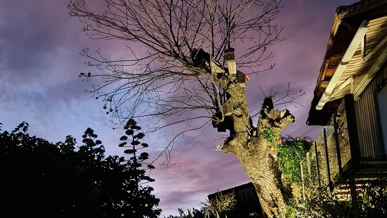 Photo of Outdoor in Planzolles