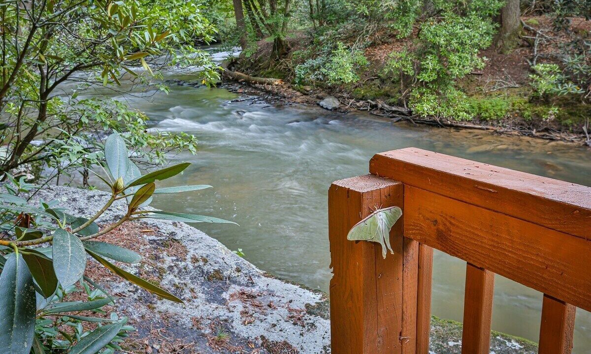 Photo of Others in Rivers Edge