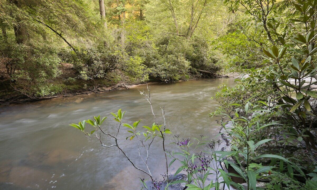 Photo of Others in Rivers Edge