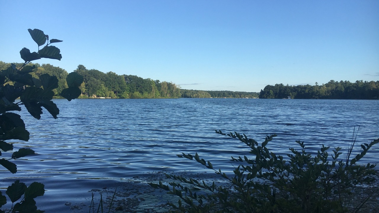 Photo of Others in Cazenovia