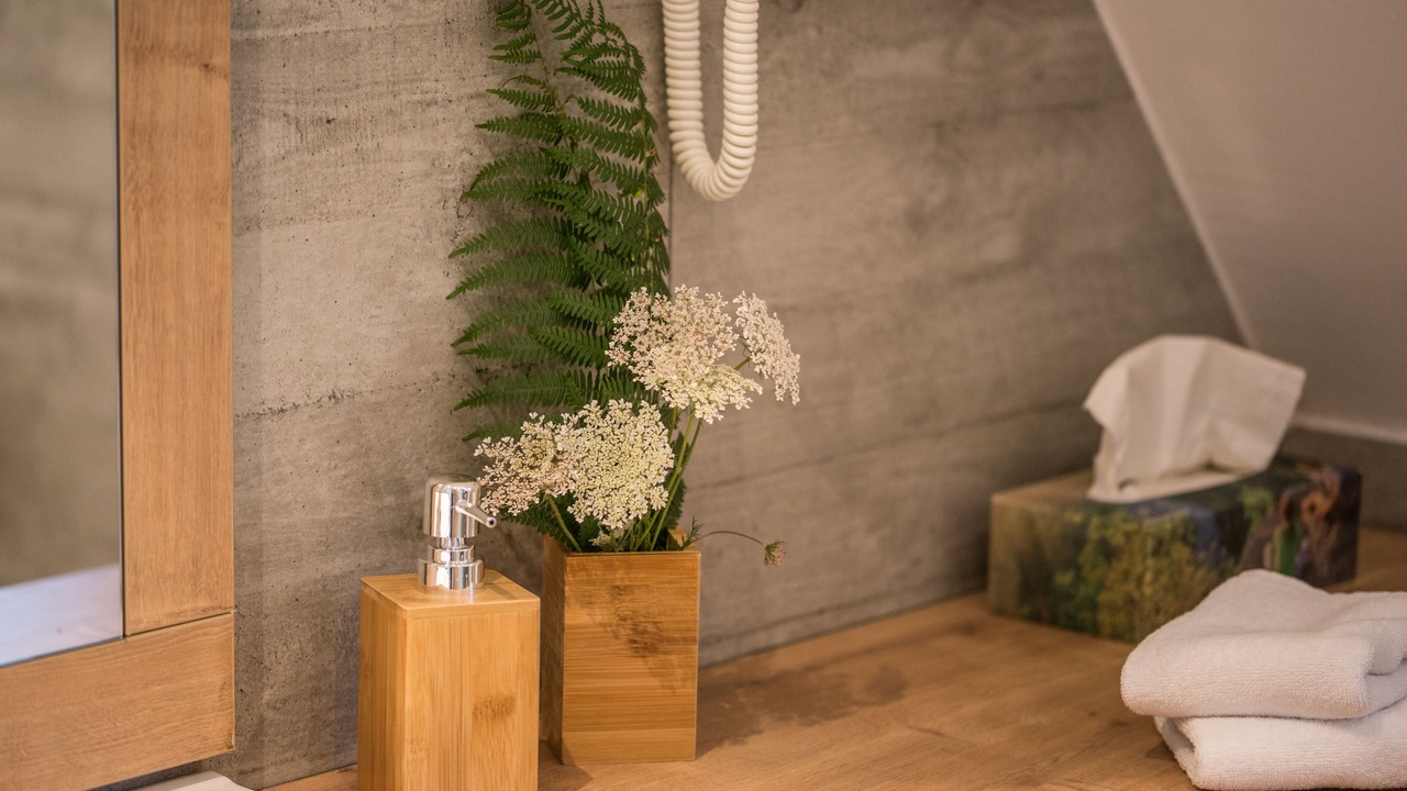 Photo of Bathroom in Rudanovac