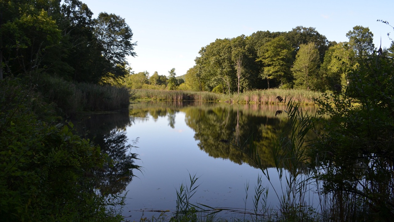 Photo of Outdoor in Kent