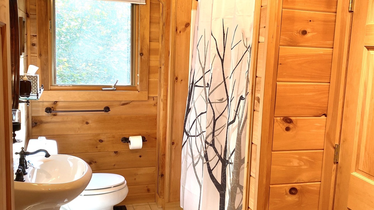 Photo of Bathroom in Wardsboro