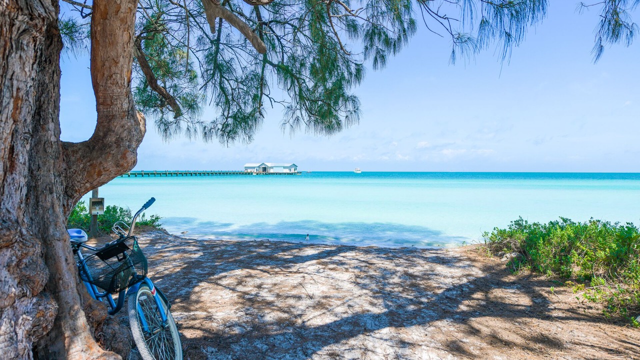 Photo of Others in Anna Maria