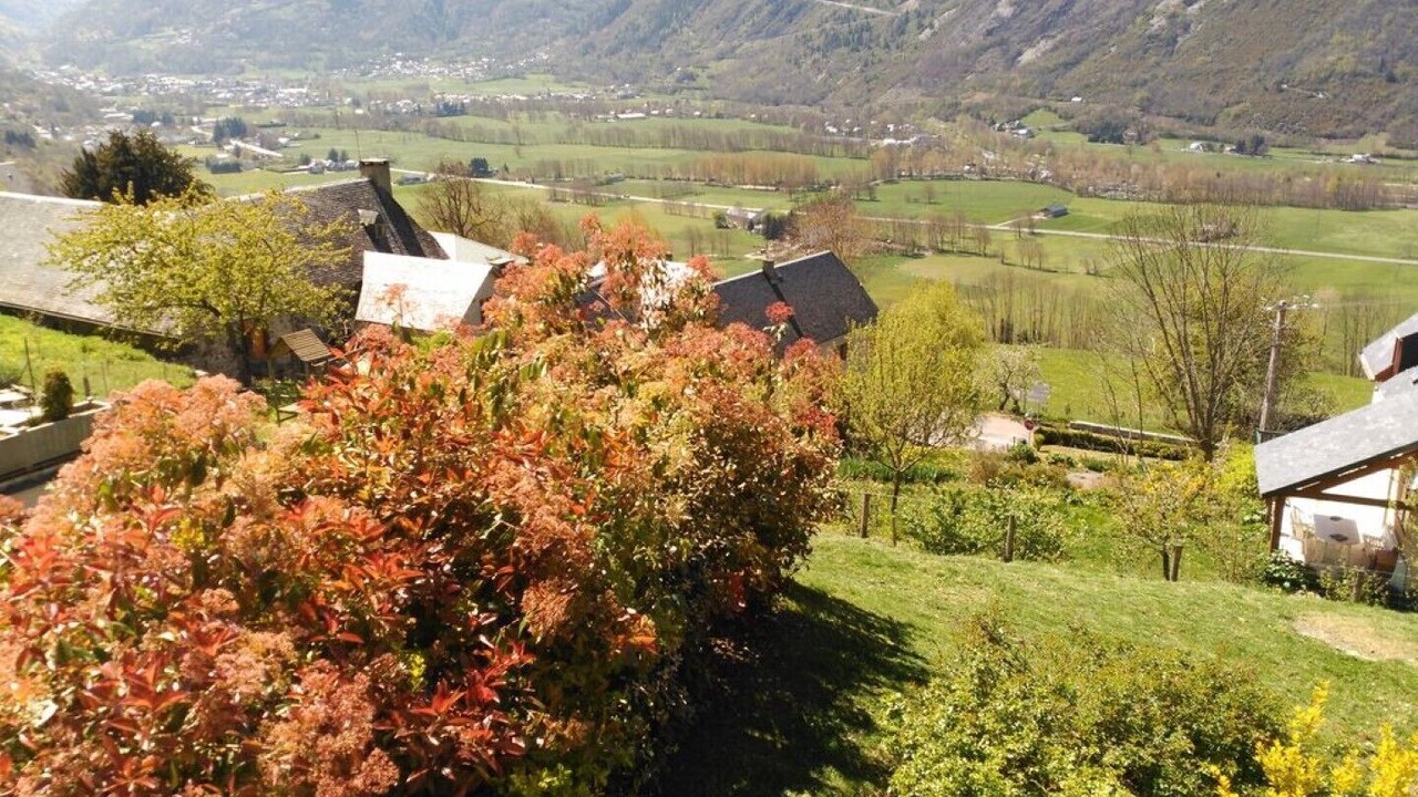 Photo of Outdoor in Camparan