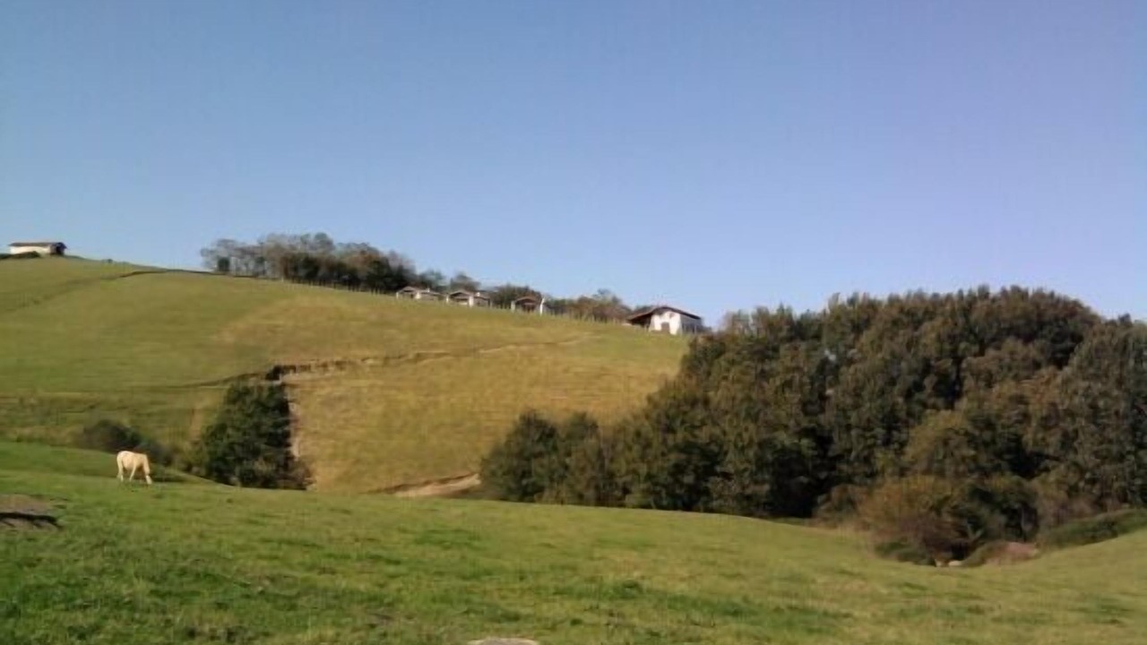 Photo of Outdoor in Dantxarinea