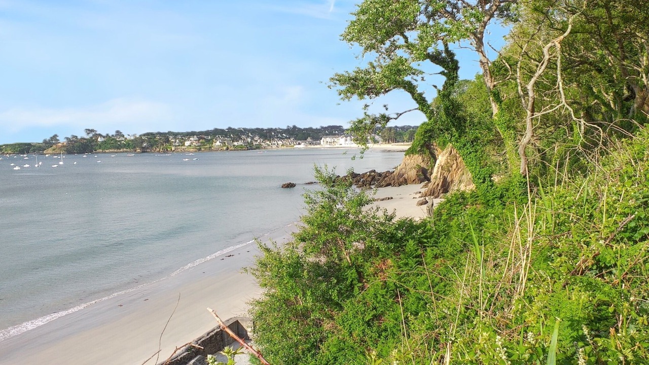 Photo of Others in Plougonvelin