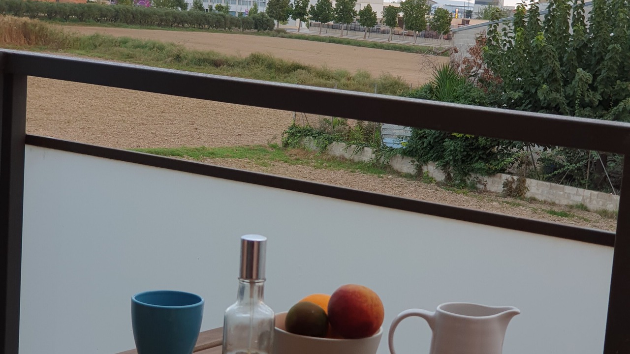 Photo of Outdoor in Deltebre