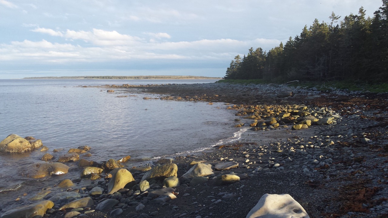Photo of Others in Guysborough County