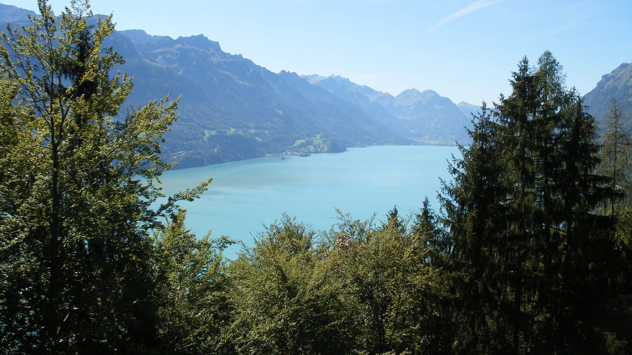 Photo of Others in Wengen