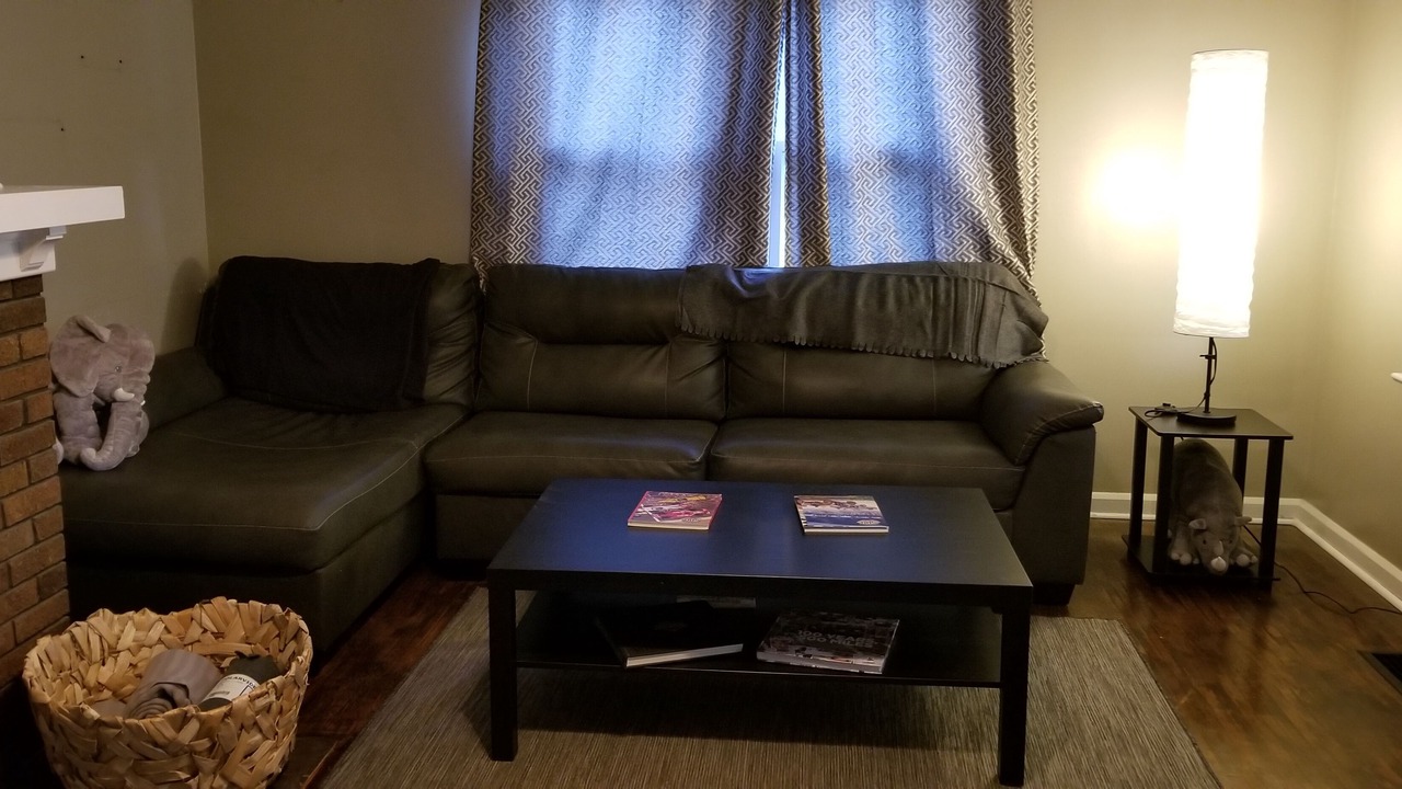 Photo of Livingroom in Speedway