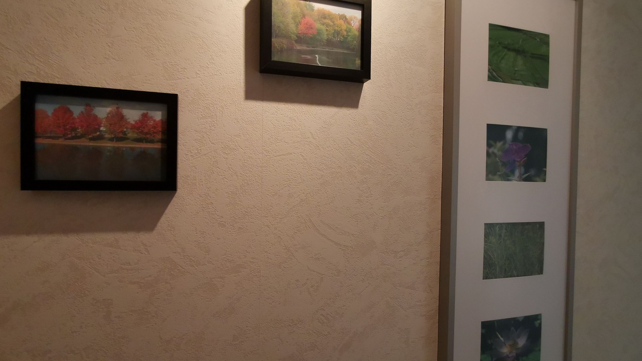 Photo of Others in La Terrasse