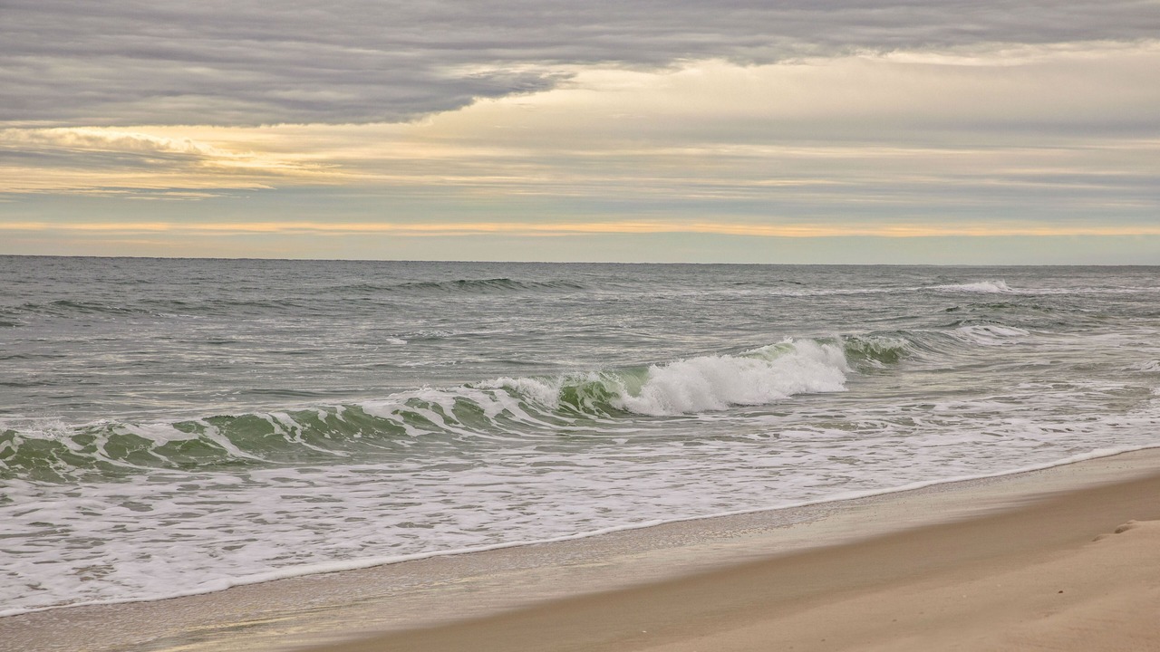 Photo of Others in North Ocean City
