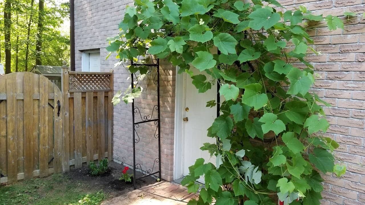 Photo of Outdoor in Sharon