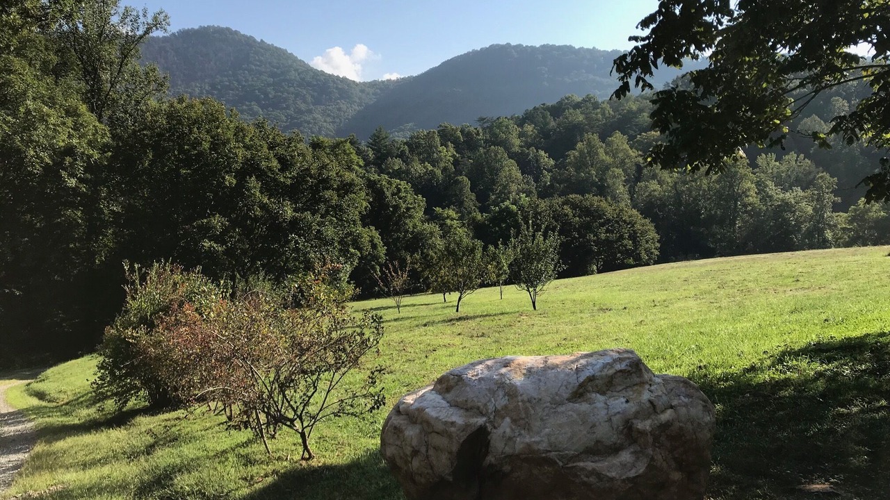 Photo of Others in Cullowhee